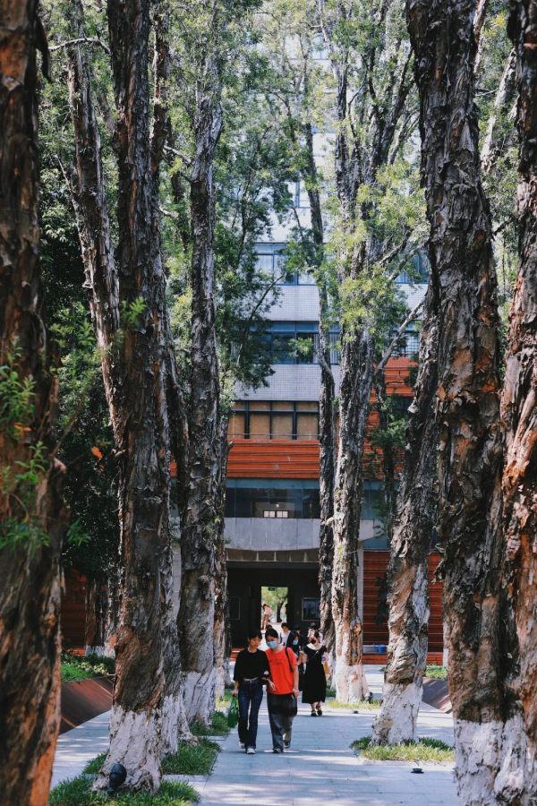 廣州美術學院