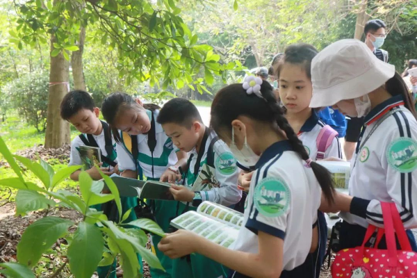 小學(xué)生“立功”了！海珠濕地有新發(fā)現(xiàn)！