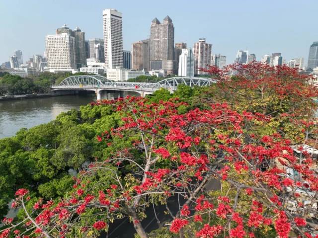 又一批中國(guó)20世紀(jì)建筑遺產(chǎn)！海珠這座跨江橋入選！