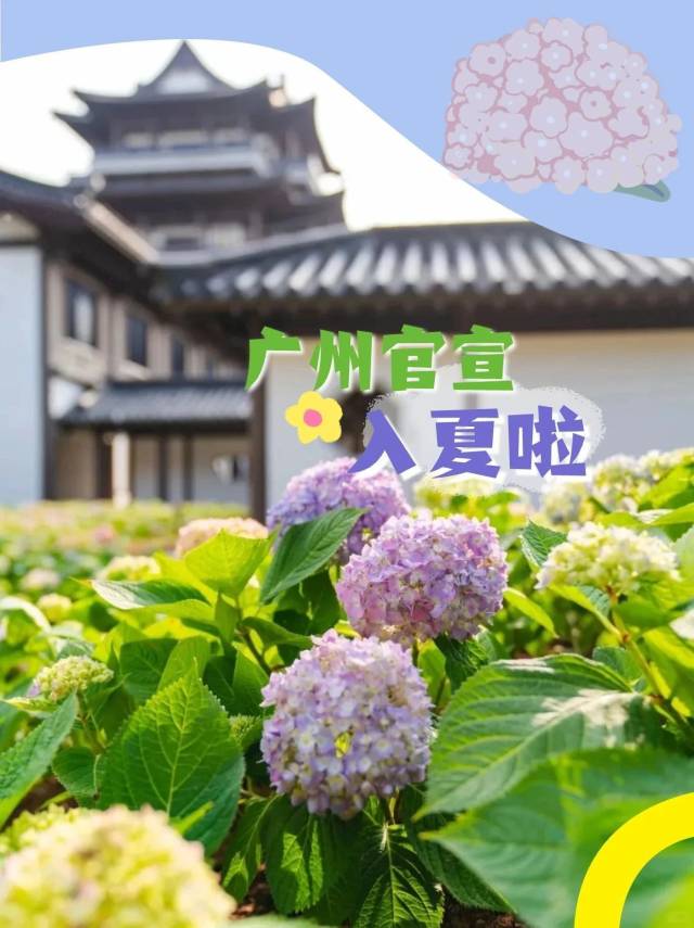 夢(mèng)幻花海上新！廣州官宣入夏！