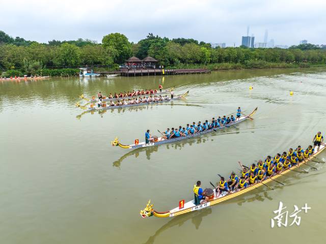 廣州龍舟第一彈！海珠濕地千人競(jìng)渡