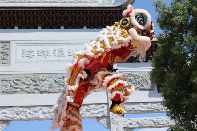 來(lái)看雄獅與少年，賞月色真美！海珠濕地承包你的假期活動(dòng)