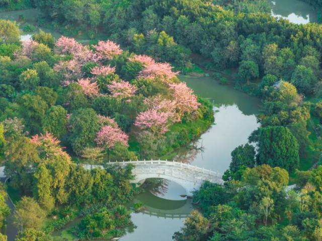 把“秋天”帶回家！Garden Walk漫游指南請(qǐng)查收