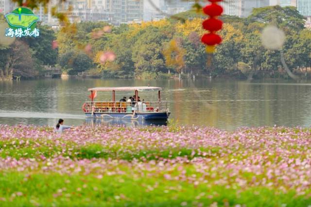 花海盛放！海珠濕地美景不打烊！